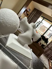 拉伊卜-2