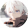 avatar of 南風