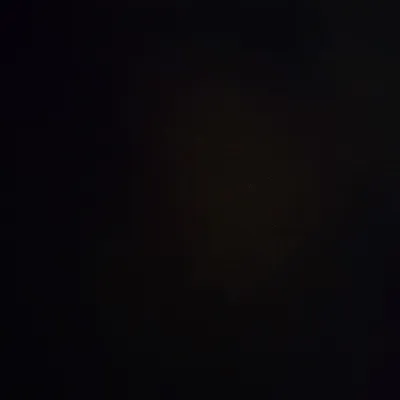 户8916520666