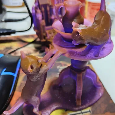 小猫与表罐-0