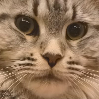 avatar of Ignis_Sylva