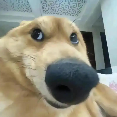 avatar of 枣庄第一美甜甜