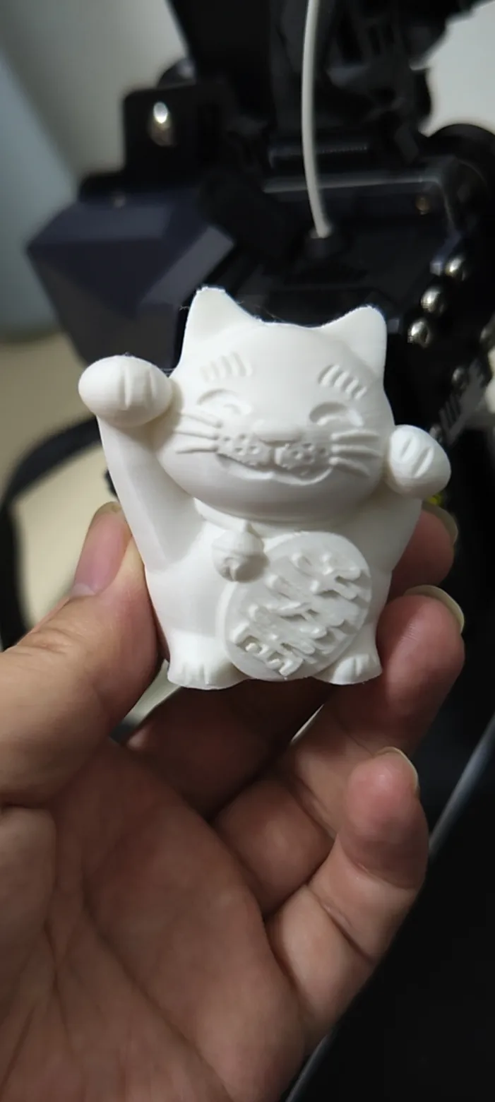 Lucky Cat money box-2