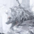 avatar of 卢瑟特