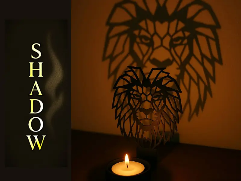 Shadow Art - Lion