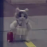 avatar of 白纵笙