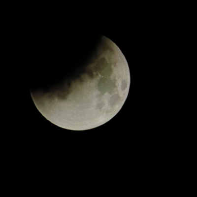 avatar of 菜的抠脚