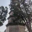 打印快乐时光