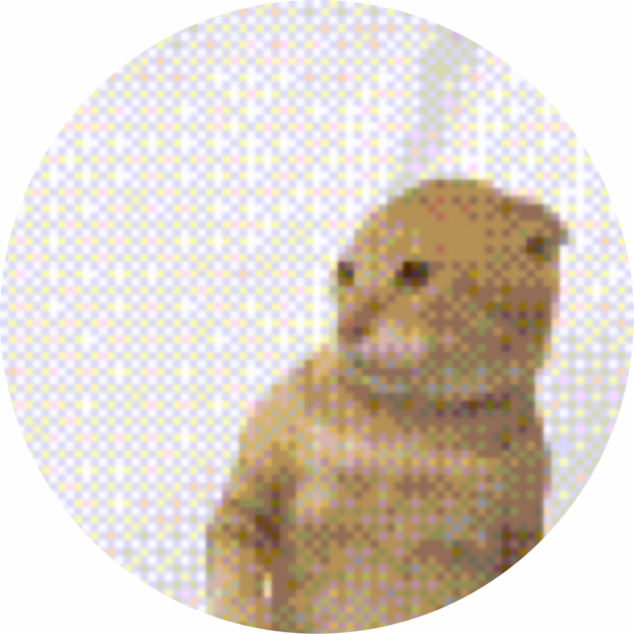 avatar of 有品无赖