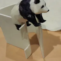 panda熊猫-4