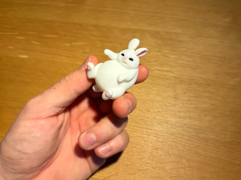 Little Fat Rabbit