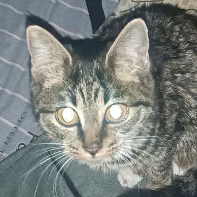 avatar of takio