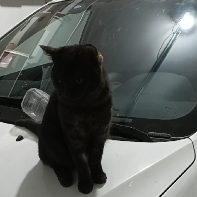 avatar of 用户3516