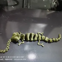 flexi可动变色龙   Articulated_Chameleon-0