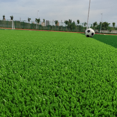 avatar of 非洲白富美