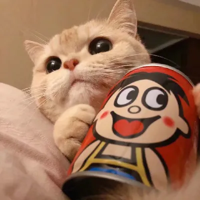 3D酷玩