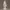 Saint Mary Decor Figurine