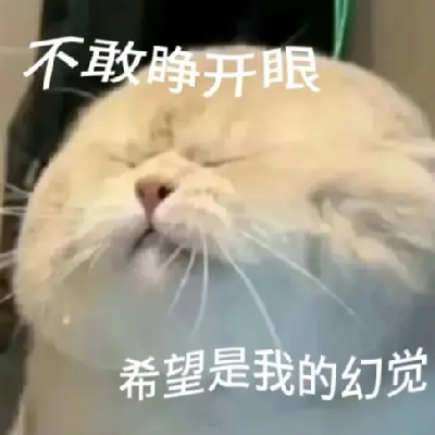 avatar of 小华的光固化