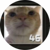 avatar of MVP