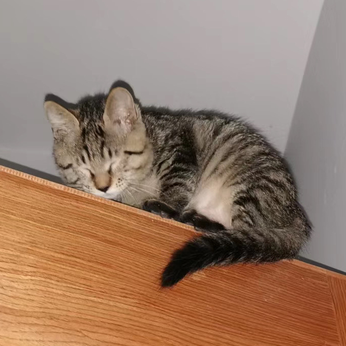 avatar of 用户4832021337