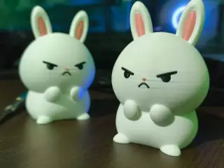 Cute little Angry Bunny