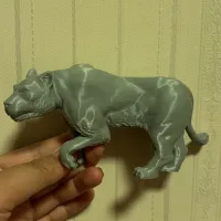 狮子-0