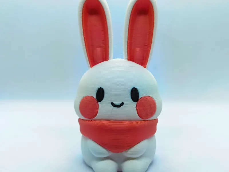 Christmas Gift - Cute Little Bunny