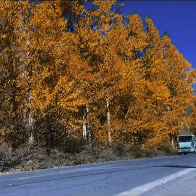 avatar of 模型灵动工程师X