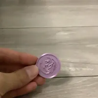 龙年限定姓氏硬币（梅）-1