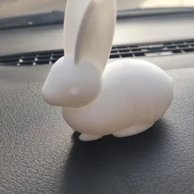 兔兔-0