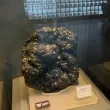 发布模型
