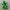 Cactuar - Final Fantasy Fan Art
