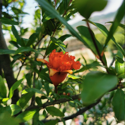 avatar of 建明绣花制版