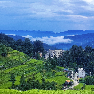 avatar of 用户99999