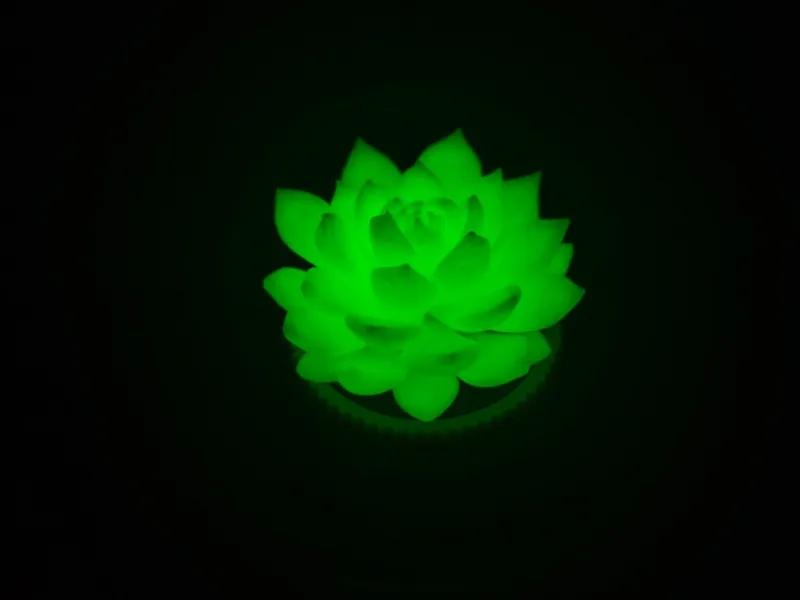 盆栽