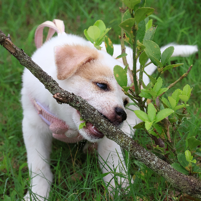 avatar of 你本无意穿堂风