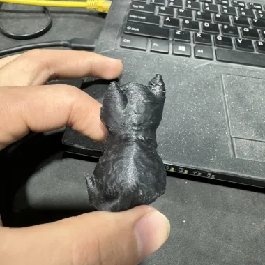 小猫咪-0