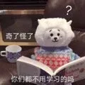 大美女