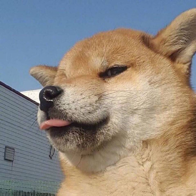 avatar of 中東悍匪