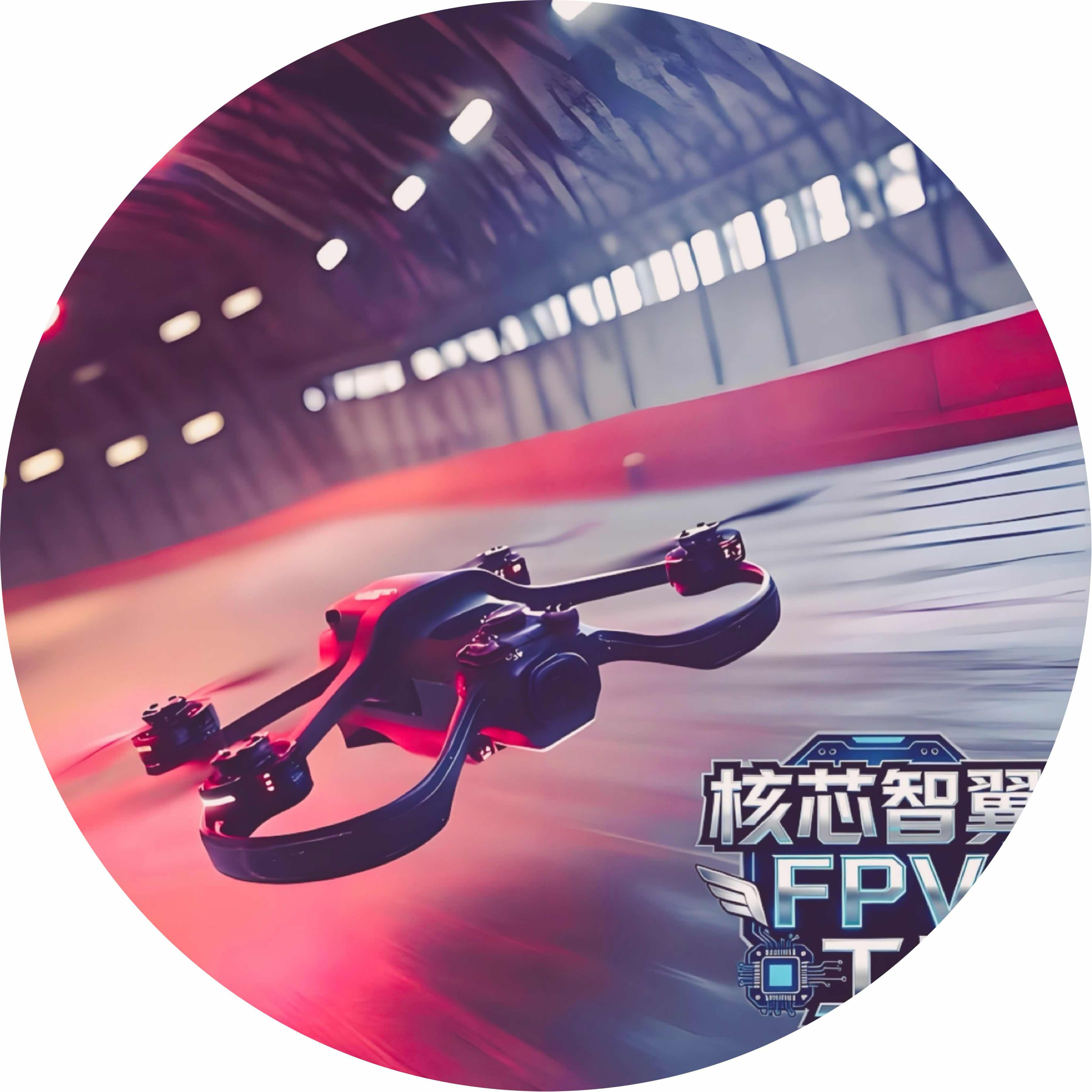 avatar of 核芯智翼FPV