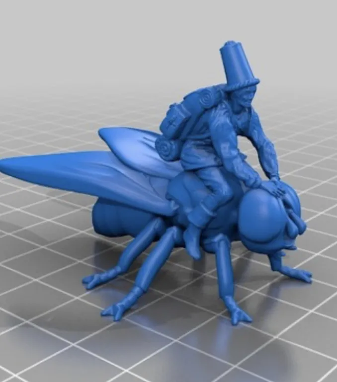 Fly rider