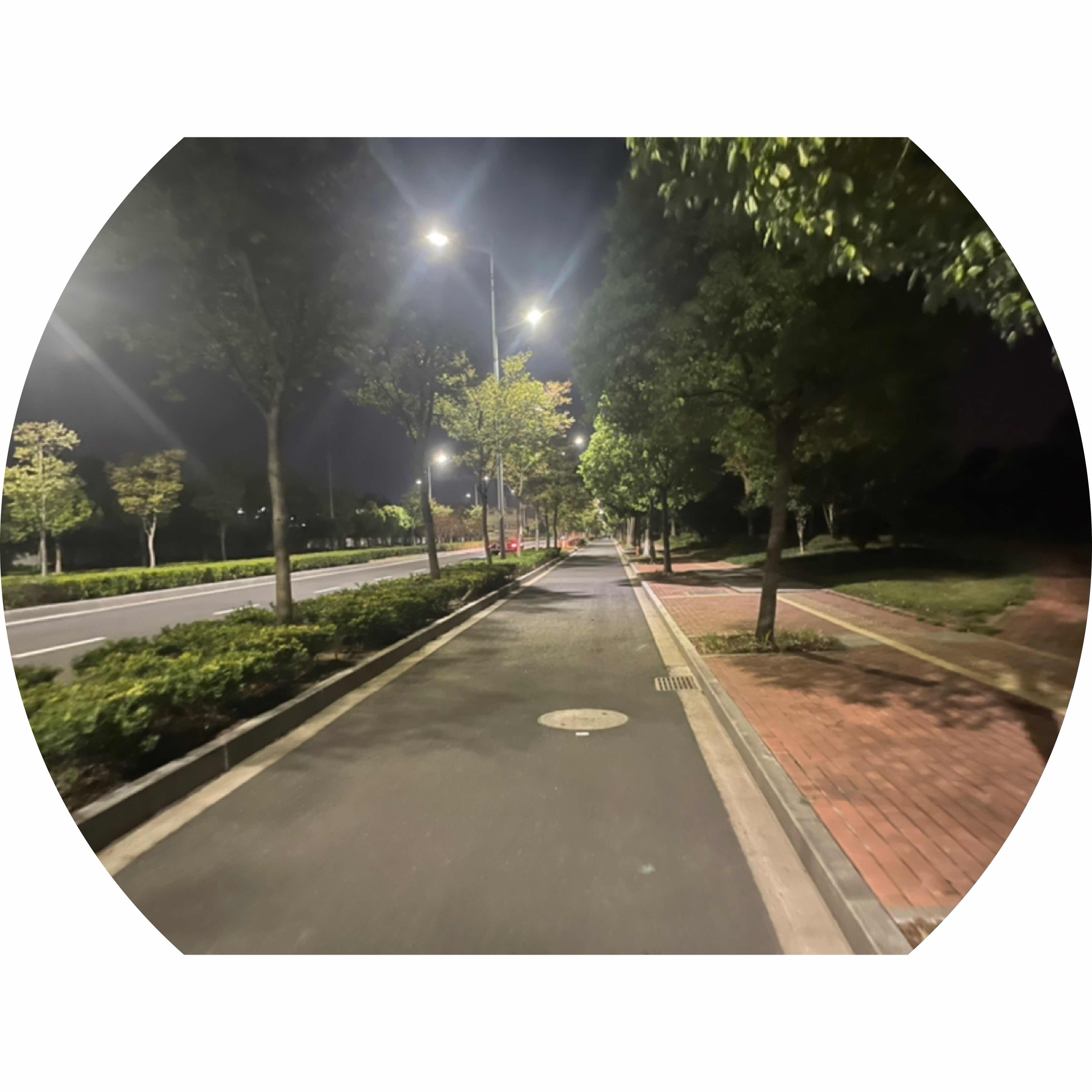avatar of 用户2229141557