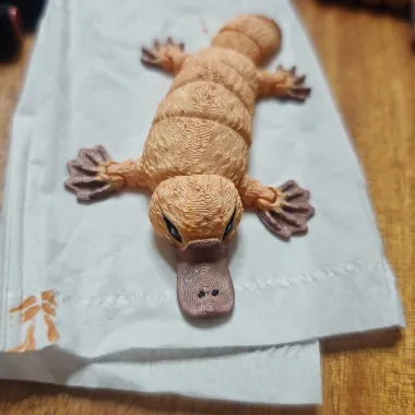 鸭嘴兽一体打印可活动-0