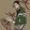 avatar of 苍狼獠牙