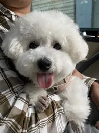 战墩儿