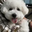 战墩儿