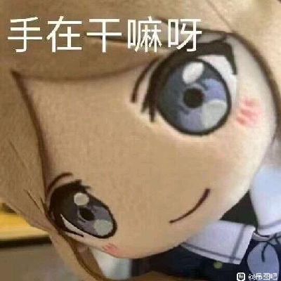 avatar of 用户465384746