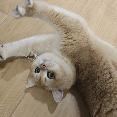 avatar of 多喝热水