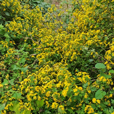 avatar of 用，，，