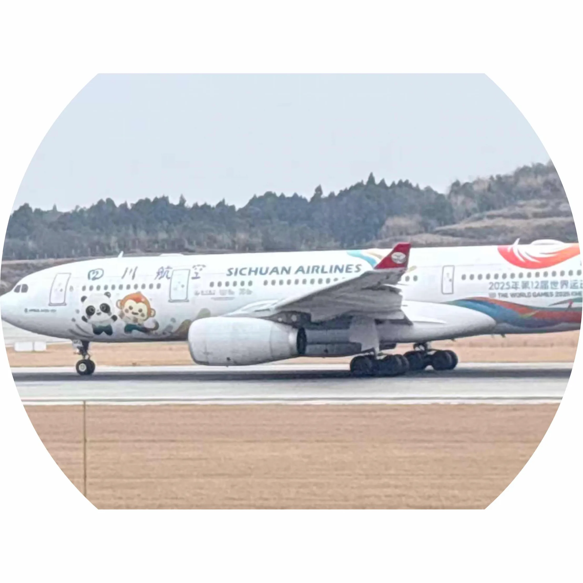 一只野生的空客飞友